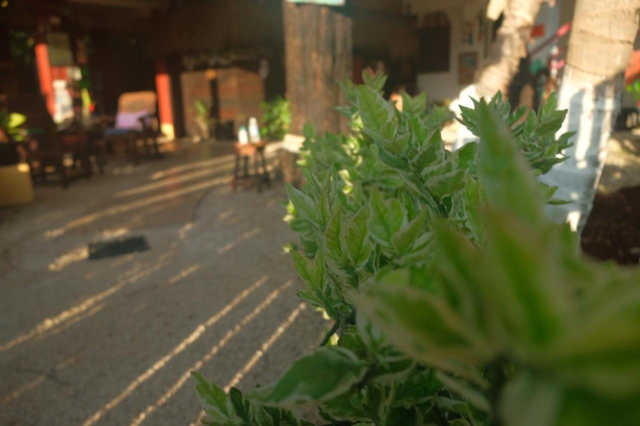 בקאלאר Near Lake Hostal מראה חיצוני תמונה